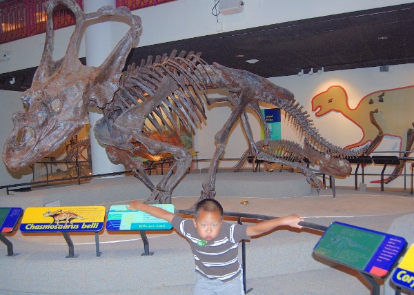 08-31-09_ Dino-Like @ Academy of Natural History.JPG