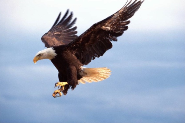 F646A31C-A315-4A2E-A0B2-D866552AB80B.jpeg