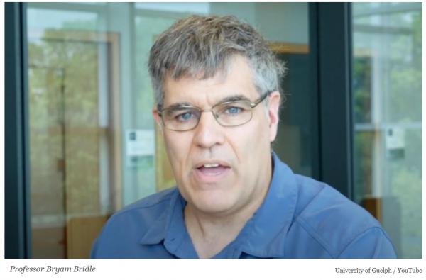 1623468682730127.png image.png