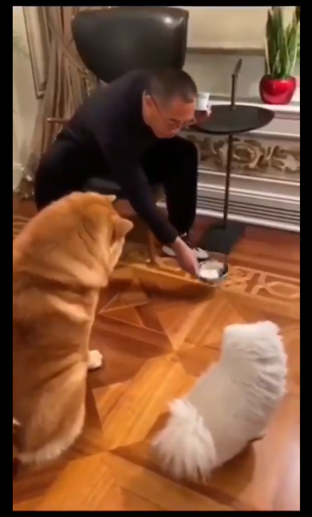 1624596523235423.png image.png