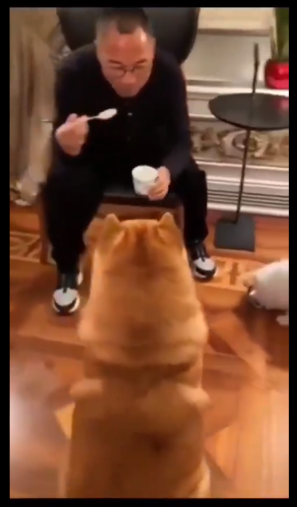 1624596560619266.png image.png