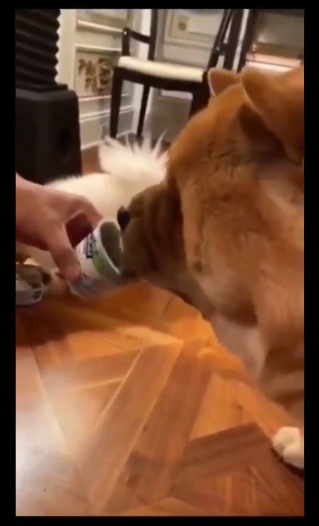 1624596589802202.png image.png