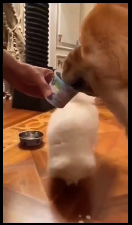 1624596618366915.png image.png