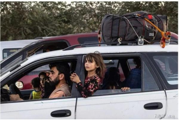 1629141923116897.png image.png