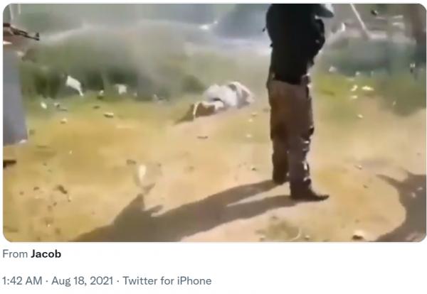 1629274865809508.png image.png