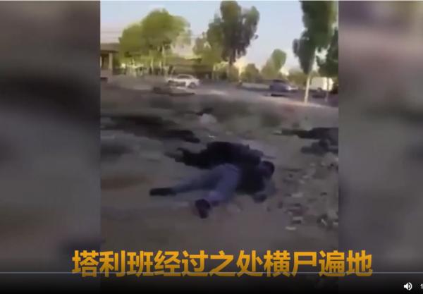 1629318198347129.png image.png