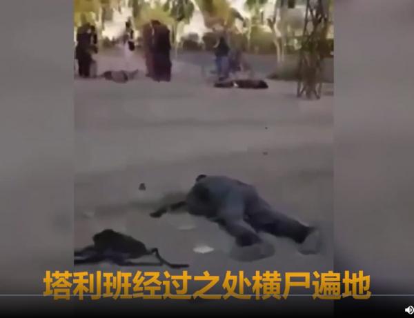 1629318288207860.png image.png