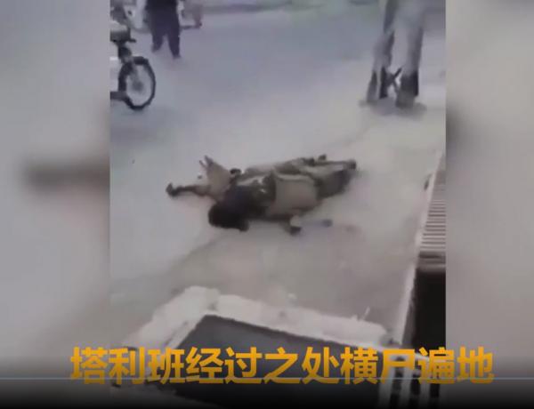 1629318328221679.png image.png