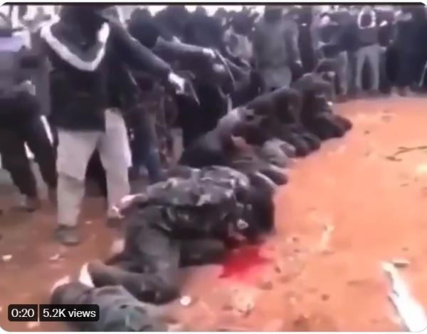 1629432431316757.png image.png