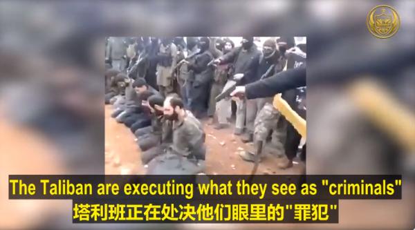 1629451513689127.png image.png