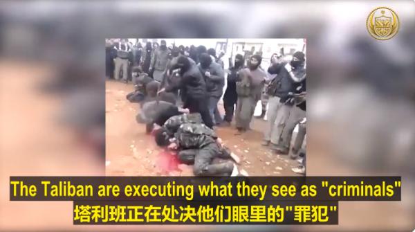 1629451573980491.png image.png