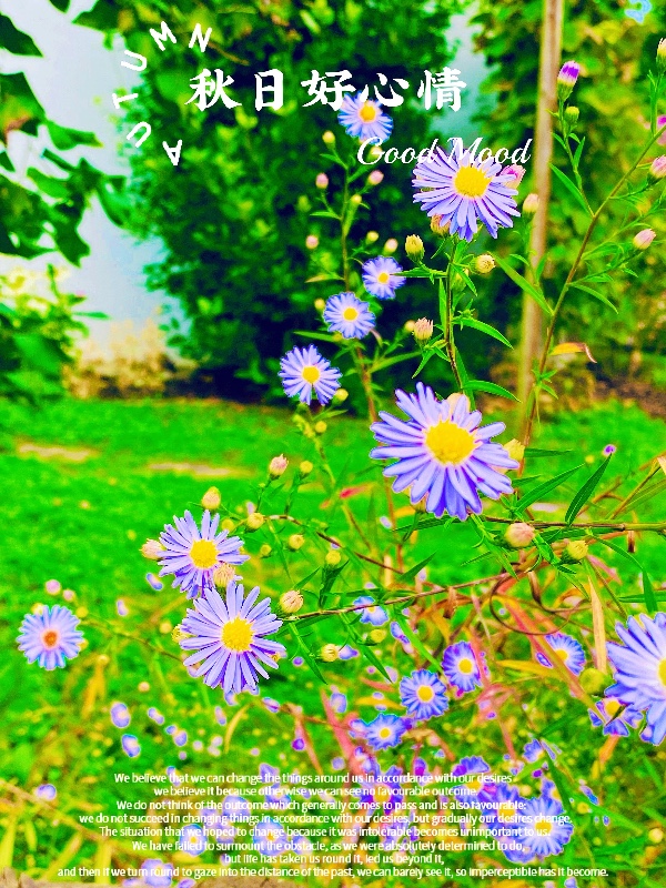 F08913B5-30BC-4961-9D87-C2B911160D48.jpeg