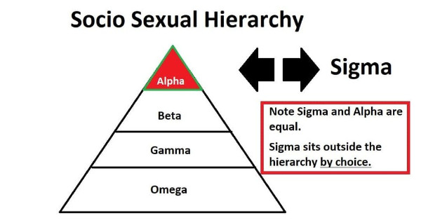 sigma-socio-sexual-hierarchy.thumb.jpg.453489f255ed8a4eab034d567937a323.jpg