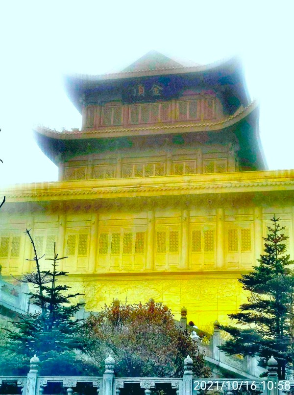 1636580529244177.jpg 1.jpg