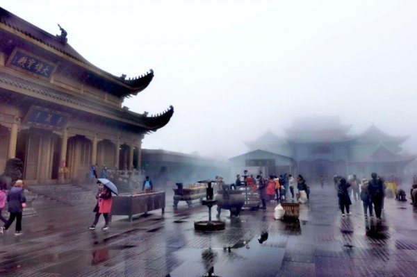 1636580547945174.jpg 2.jpg