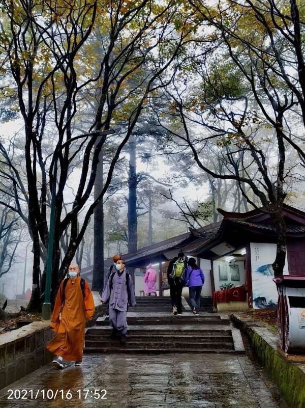 1636580568196566.jpg 3.jpg