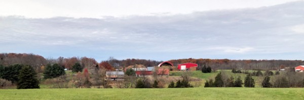 2021-11-14_Windybush Hay Farms=30001.JPG