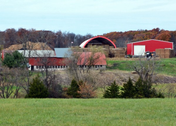 2021-11-14_Windybush Hay Farms-20001.JPG