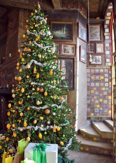 2021-11-23_Citrus Christmas Tree-10001.JPG