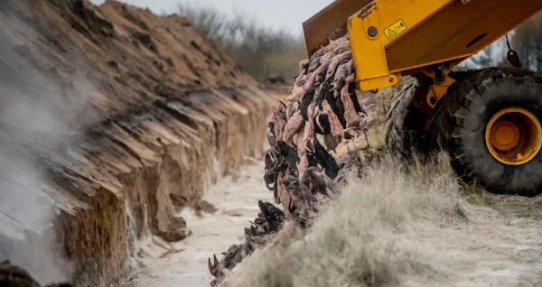 1639185420766270.png 丹麦扑杀染疫水貂中共国乘机扩大水貂皮出口.png