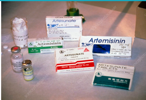 1639348387234347.png image.png