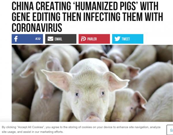 1639349768697773.png image.png