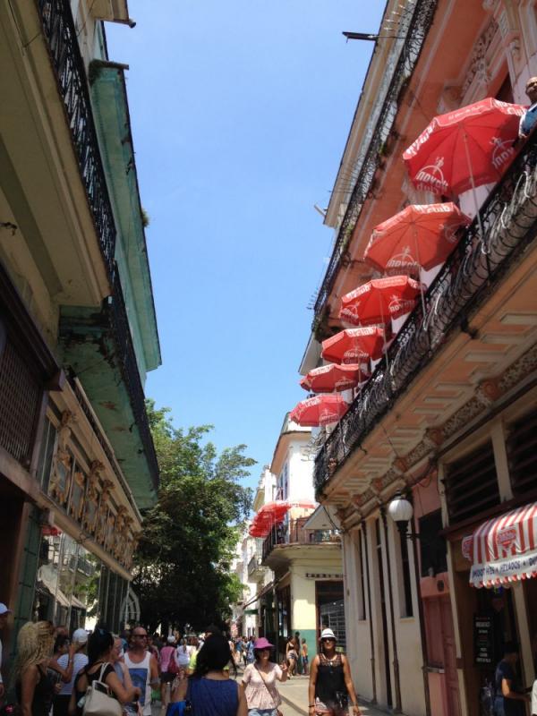 1642603589125417.jpeg image.jpeg