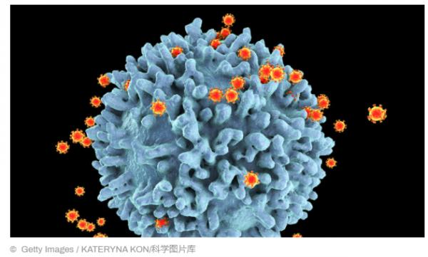 1644201548435578.png image.png