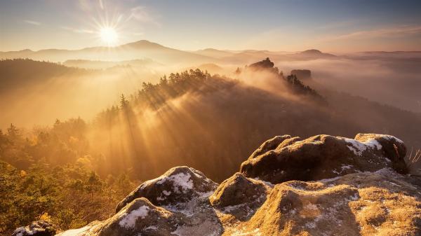 Mountain-top-rocks-trees-sunrise-fog_1600x900.jpg