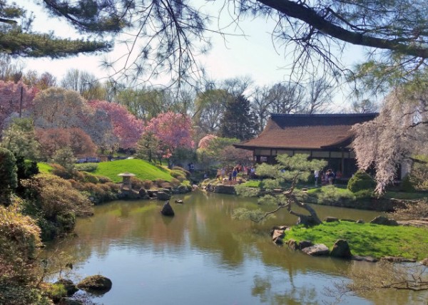 2015-04-18_Shofuso Japanese House and Garden ɷPձ뻨԰ -10001.JPG