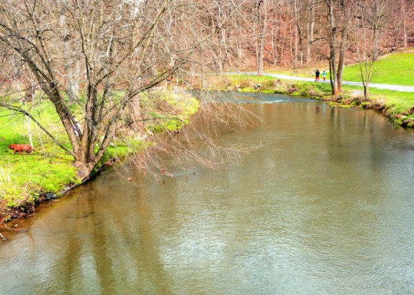 2022-04-13_Lehigh Parkway along Little Lehigh Creek_ the Most Prominent Park in the City0001.JPG