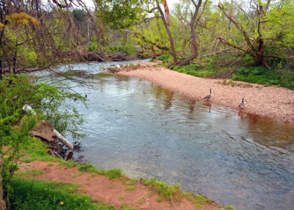 2022-04-25_Wissahickon Creek-10001.JPG