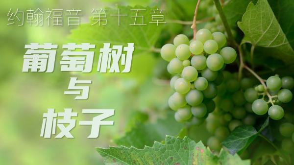 grapes1.jpg