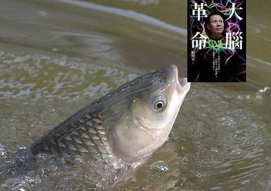 1654174983990296.jpg 顧曉軍看俄烏.jpg