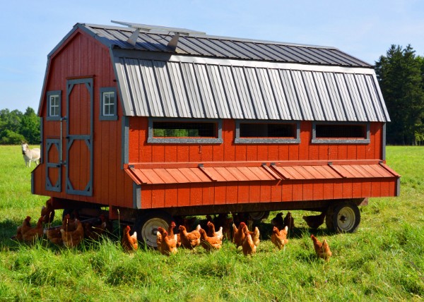 2022-07-04_KnipeCJohnson Farm_Chicken Coop.JPG