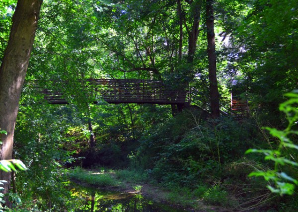 2022-07-30_Four Mills Nature Reserve_Rotary Bridge-20001.JPG