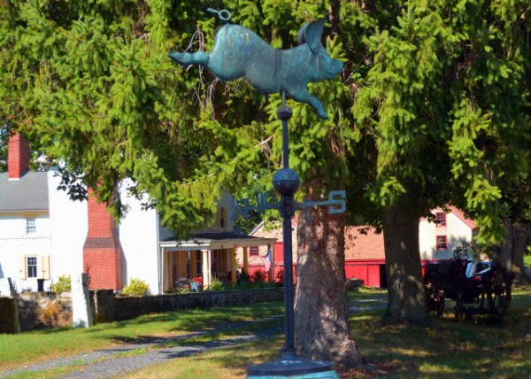 2022-08-20_Penrose-Strawbridge Farm_Sign0001.JPG