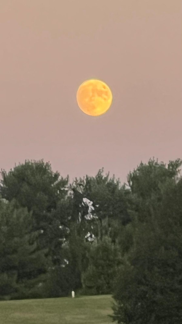 moon1 A.jpg