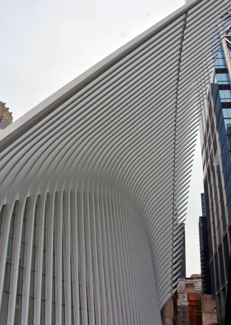 2022-09-25_WTC Oculus_Ribs0001.JPG