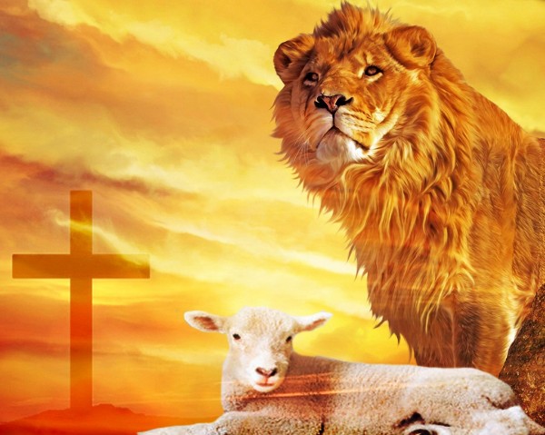 the-lion-and-the-lamb-lion-of-judah.jpg