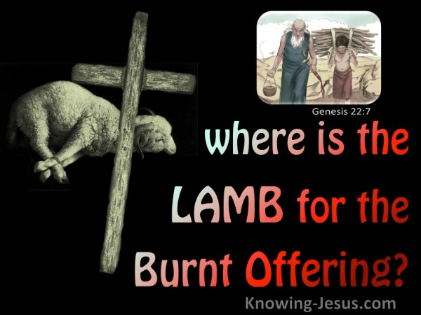 Genesis 22-7 Where Is The Lamb For A Burnt Offering red.jpg