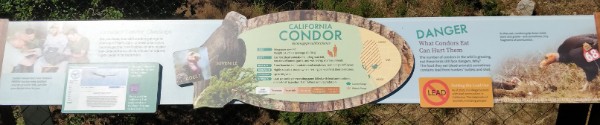 2-8-2 California Condor.jpg