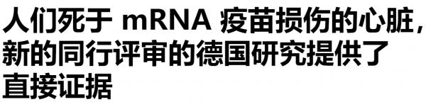 1671234241462038.png image.png