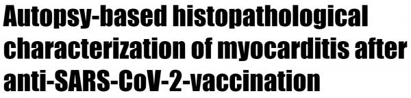 1671235204641246.png image.png