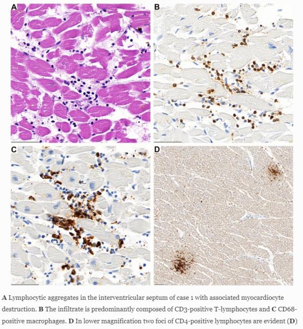 1671265796463519.png image.png