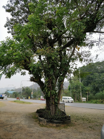 1671275212597578.jpg 2-1 路边农家餐馆.jpg