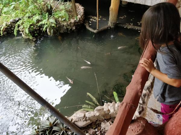 1671275265434443.jpg 2-6-1 看鱼池.jpg