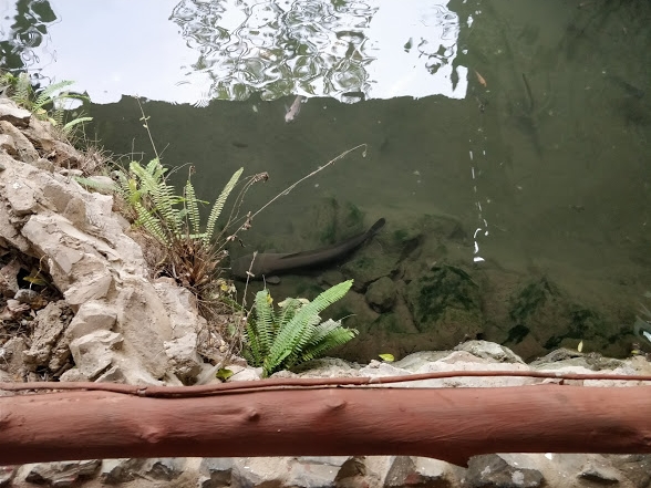 1671275265686325.jpg 2-6-4.jpg