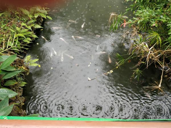 1671275265751589.jpg 2-6-6.jpg