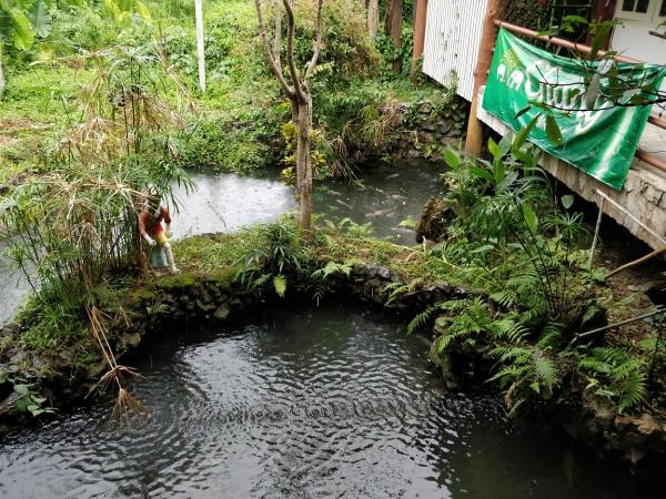 1671275266412943.jpg 2-6-5.jpg